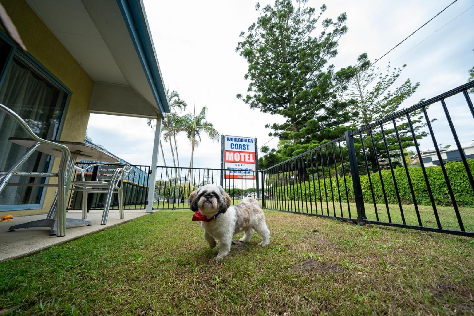 Woolgoolga Coast Motel Chambre photo